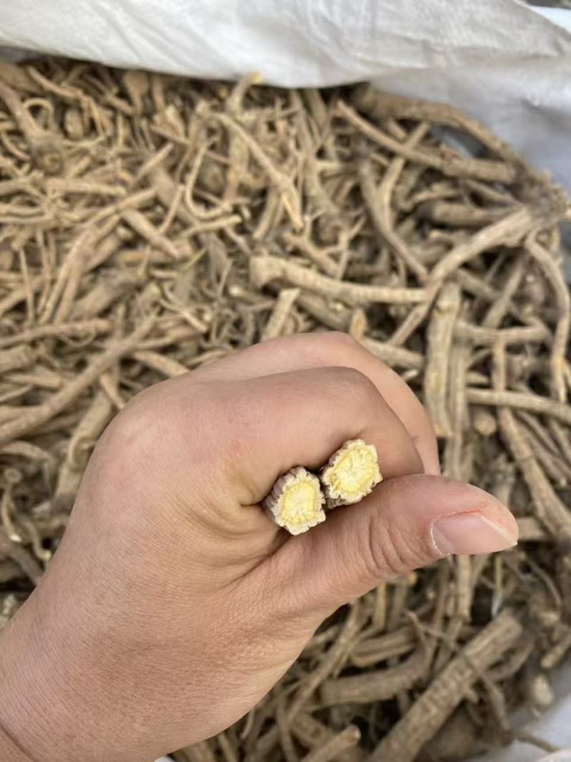 前胡信前胡基地直发品质保证优质产品