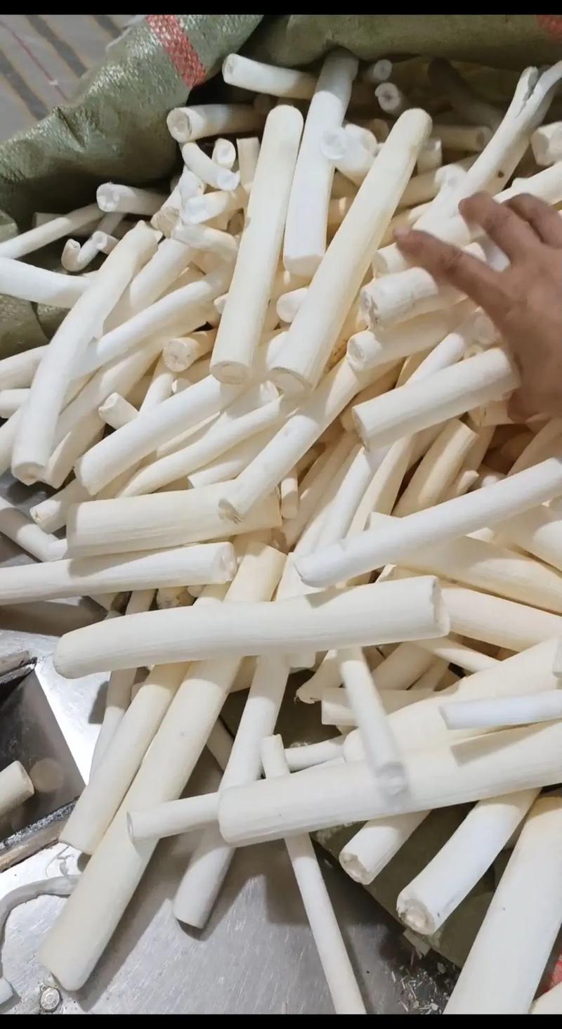 贵州野生大通草芯批发零售