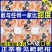 四川春见粑粑柑丑橘不知火对接各大平台一件代发日发3万单以