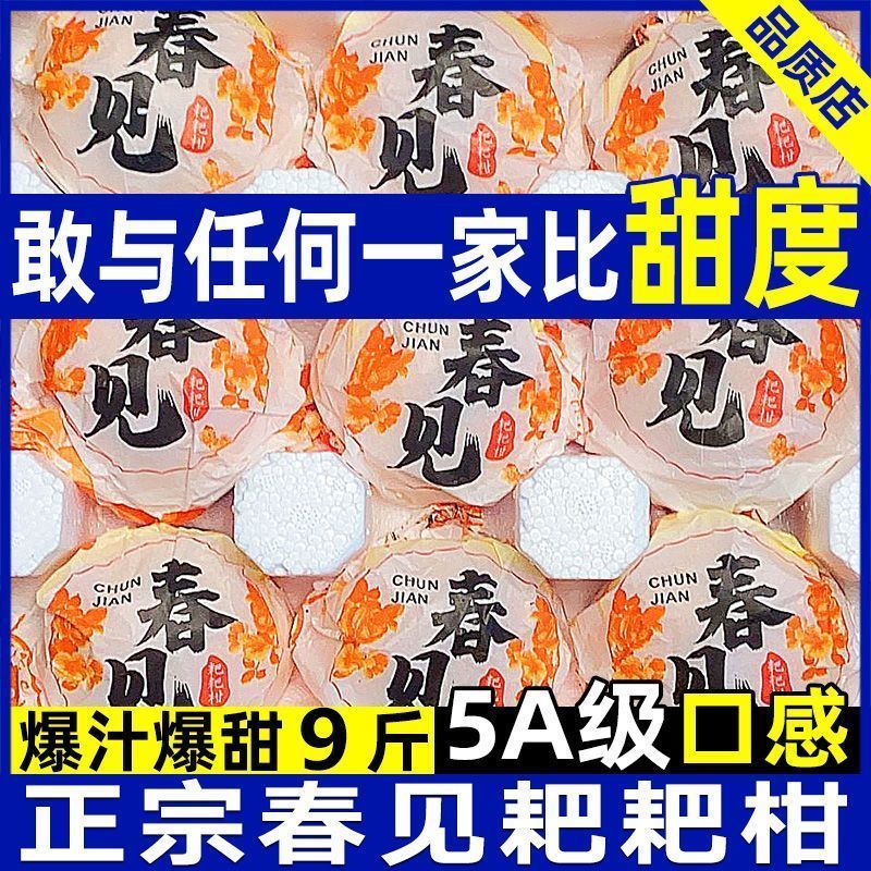 四川春见粑粑柑丑橘不知火对接各大平台一件代发日发3万单以