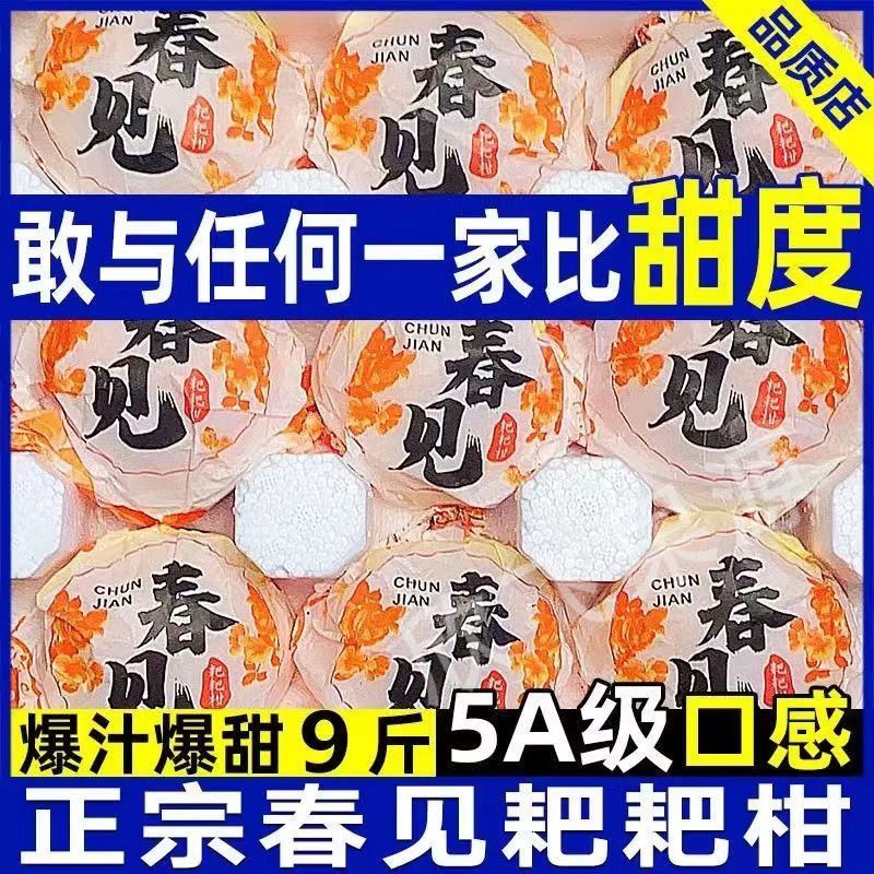 四川春见粑粑柑丑橘不知火对接各大平台一件代发日发3万单以