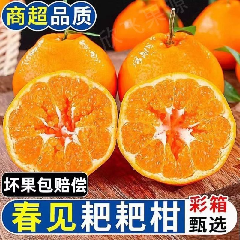 四川春见粑粑柑丑橘不知火对接各大平台一件代发日发3万单以