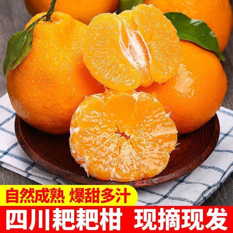 四川春见粑粑柑丑橘不知火对接各大平台一件代发日发3万单以