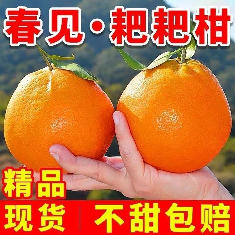 四川粑粑柑~丑橘~不知火对接各大平台一件代发