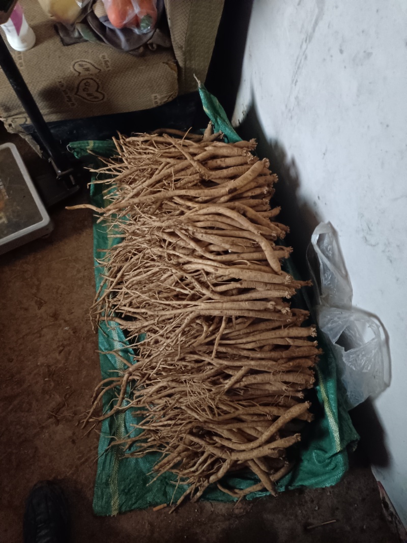 接近尾声了要得联系