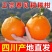四川粑粑柑~丑橘~不知火对接各大平台一件代发