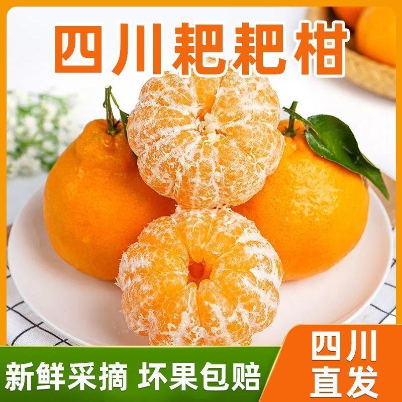 四川粑粑柑~丑橘~不知火对接各大平台一件代发