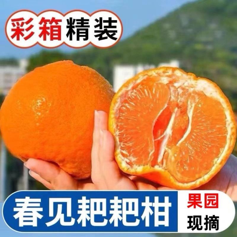 四川粑粑柑~丑橘~不知火对接各大平台一件代发