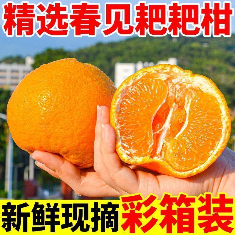 四川粑粑柑~丑橘~不知火对接各大平台一件代发