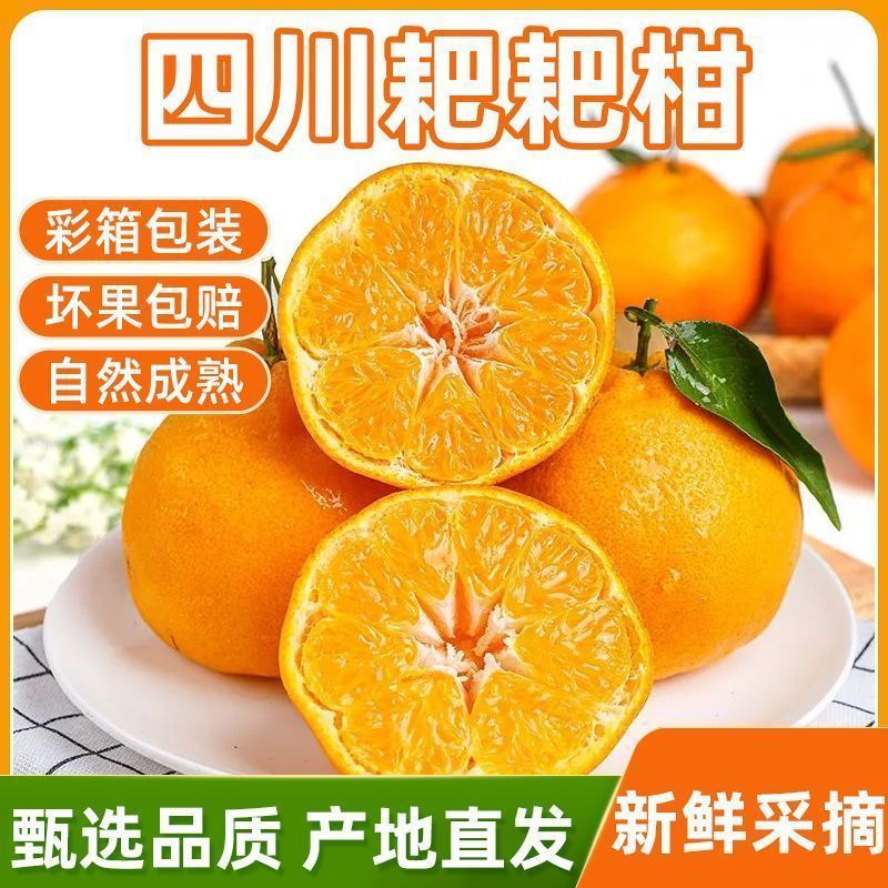 四川粑粑柑~丑橘~不知火对接各大平台一件代发