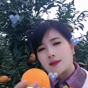 《沃柑》。广西武鸣产地，现摘现卖。一件代发。保质保量。