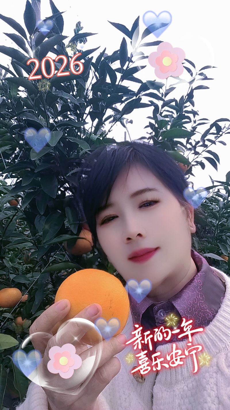 《沃柑》。广西武鸣产地，现摘现卖。一件代发。保质保量。