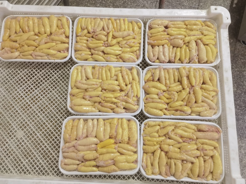 精品鲈鱼籽