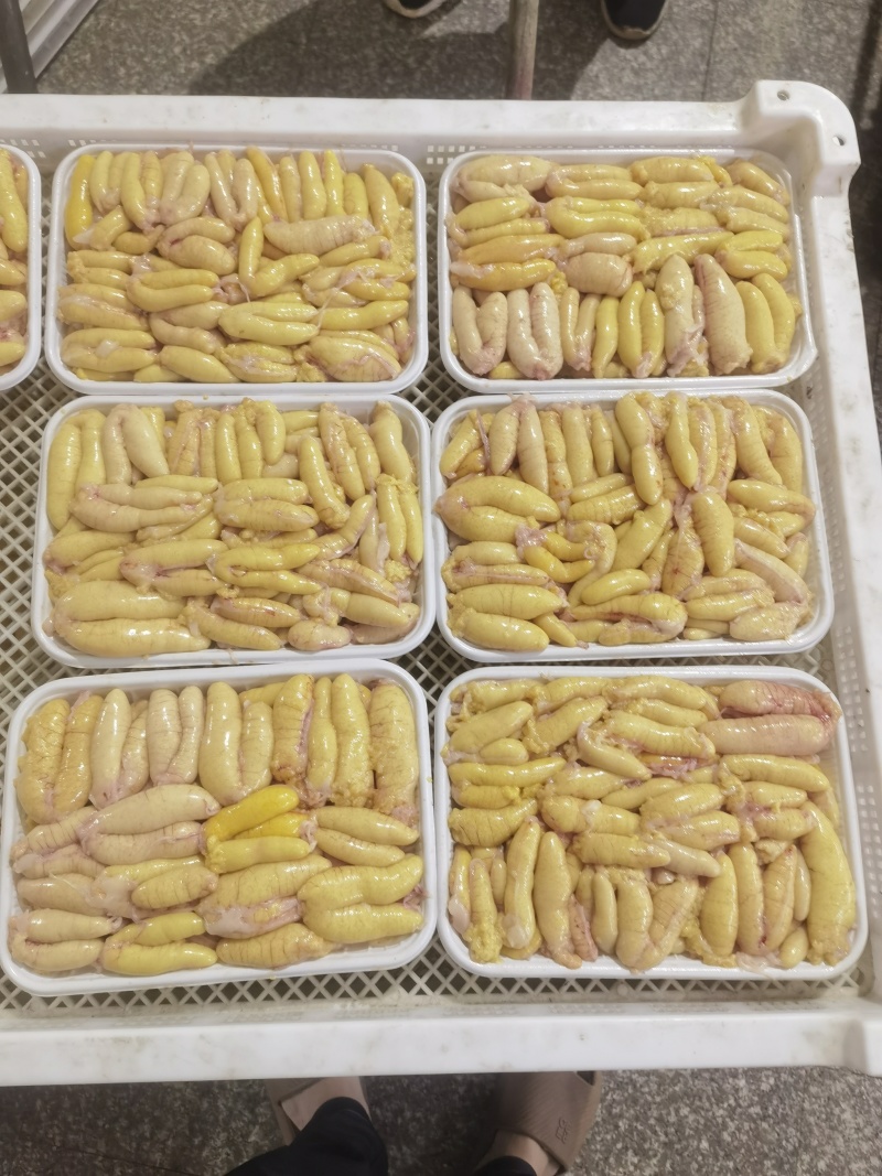 精品鲈鱼籽