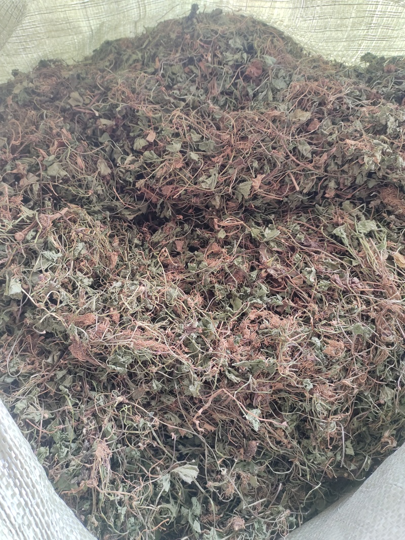 雷公根干货10元