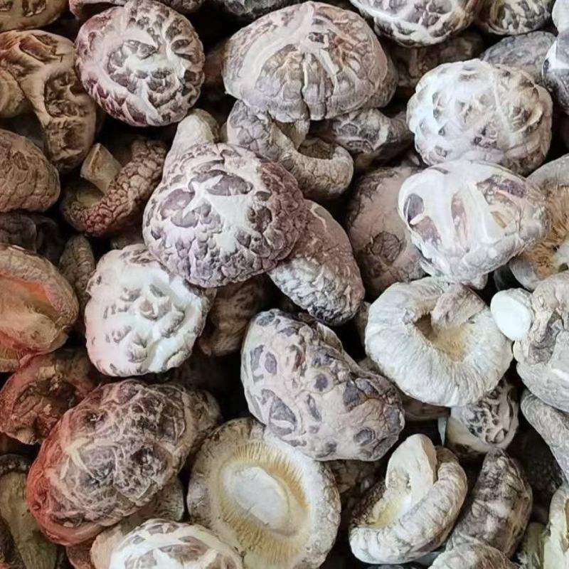 随州香菇3-4茶花菇产地直供出口品质整箱包邮