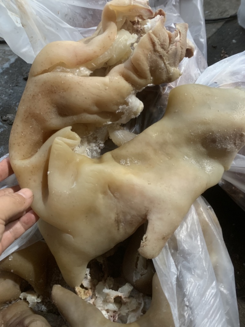 牛蹄筋，整牛不抽筋，不泡水纯火烧，厂家直销。