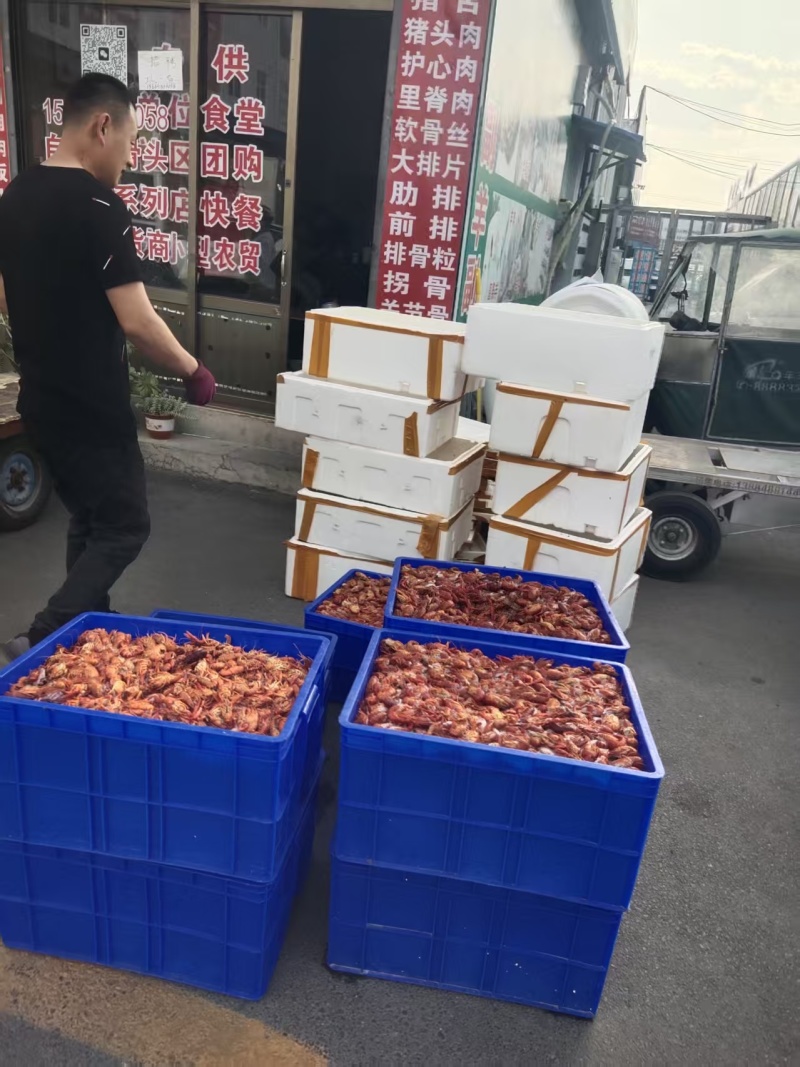 【熟食鸡爪】熟龙虾