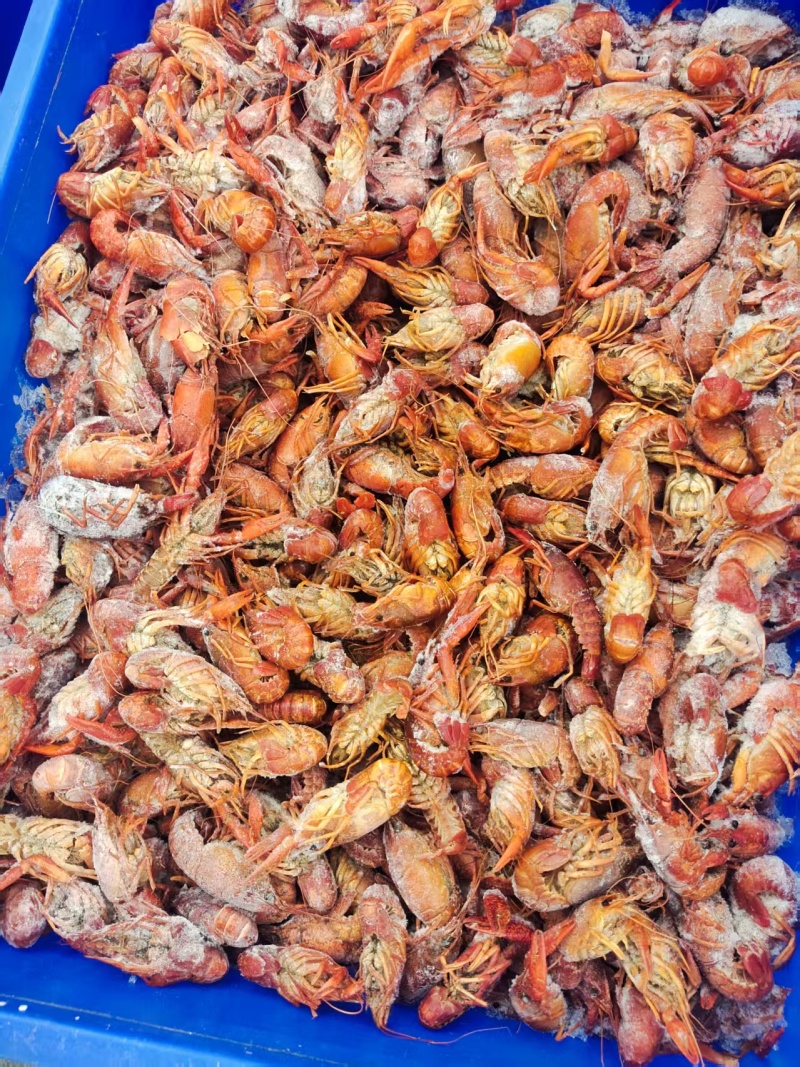 【熟食鸡爪】熟龙虾