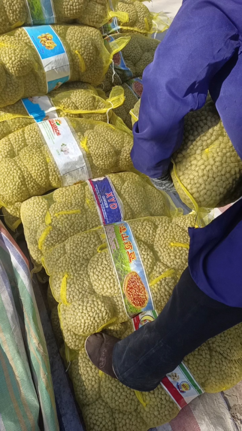 2026精品电商各种规格的山药豆大量供应！