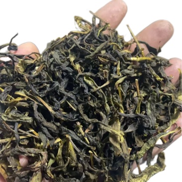 单丛茶：蜜兰香毛茶