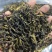 单丛茶：蜜兰香毛茶