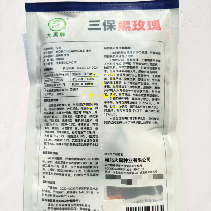 三保黑玫瑰玉米种子黑甜糯玉米种籽高产抗病大棒苞谷种籽