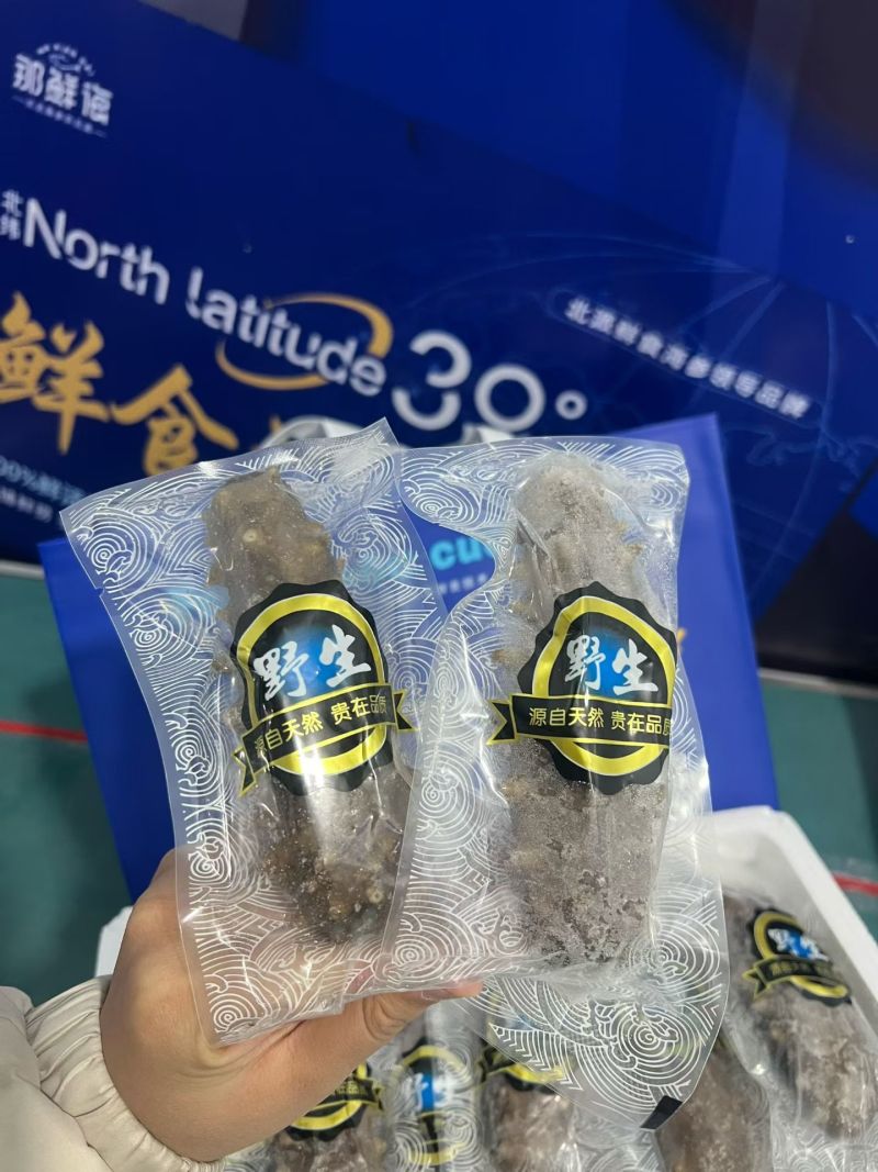 深海大乌参，土耳其米刺、既食刺参、辽参、红极参……