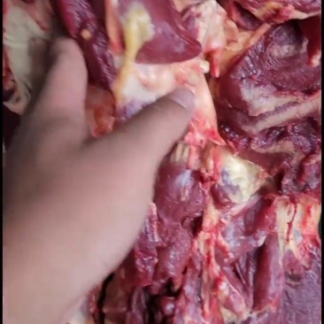 现杀黄牛肉