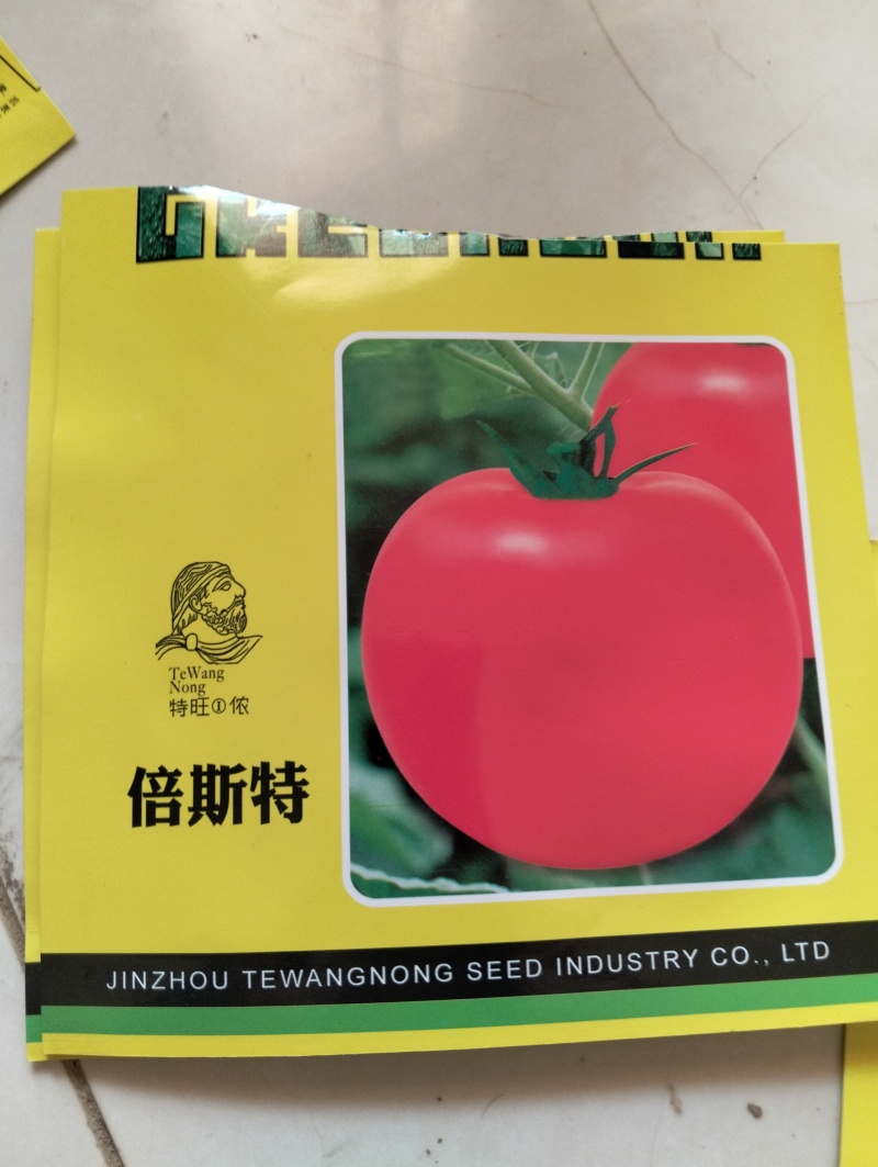 硬粉，西红柿苗五叶一心包成活保证质量抗病毒品种