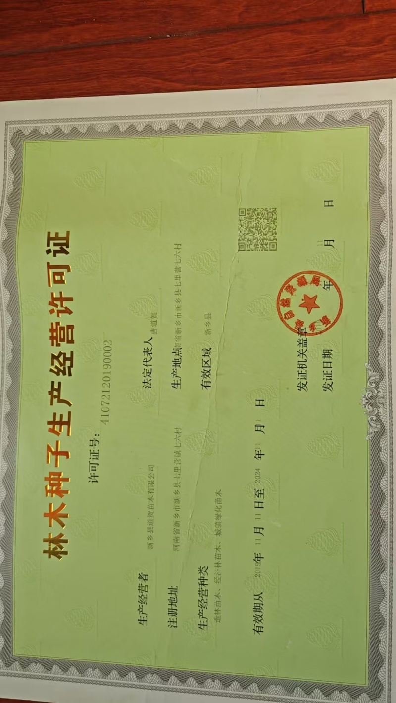 潘枣苗，保当年大量结果，品种纯正，假一赔十，免费指导