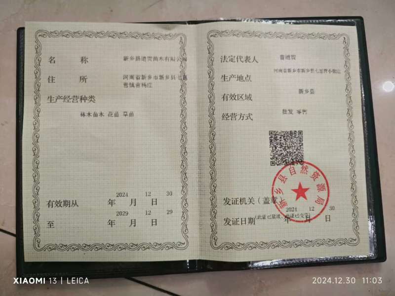核桃苗，有大量现货2-6公分核桃苗，现挖现发保证成活率