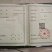 蟠冬枣苗，零枣苗，保证成活率，2-4公分枣苗