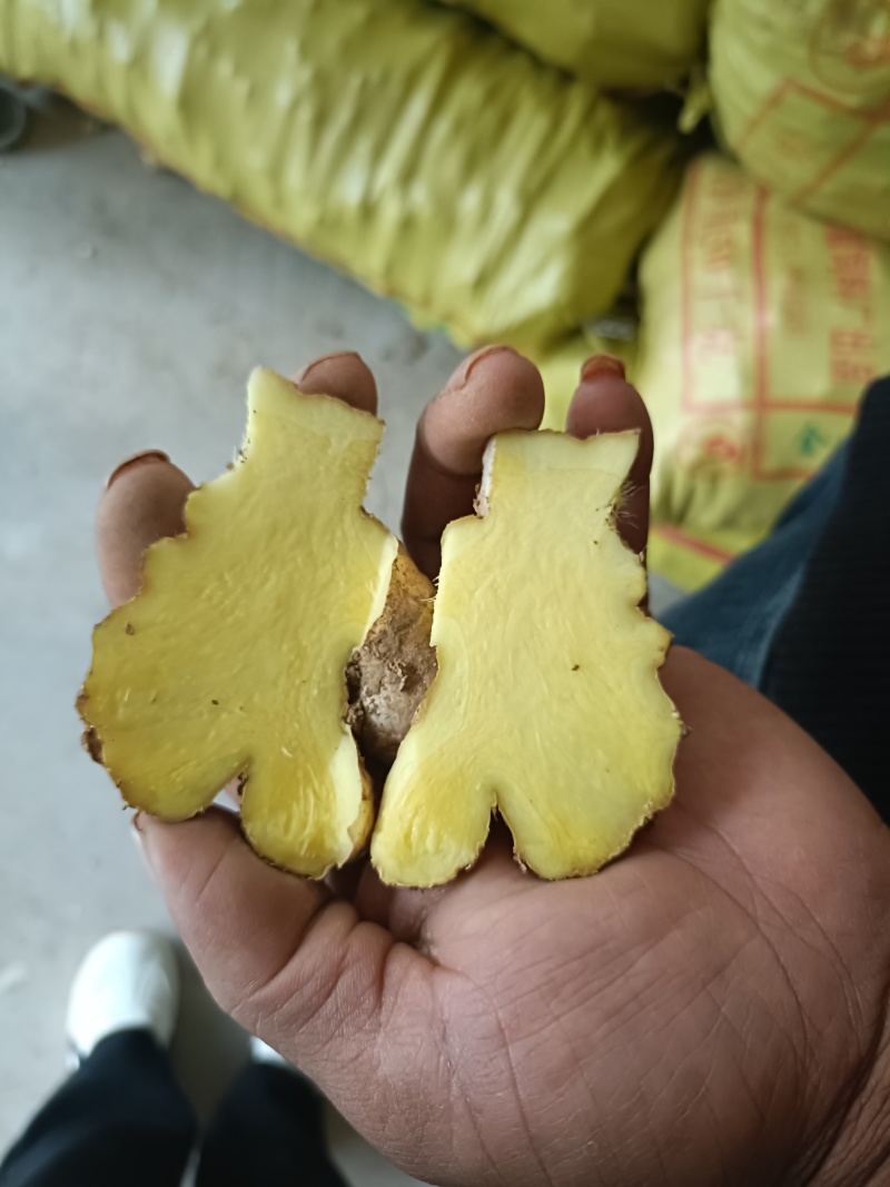小黄姜