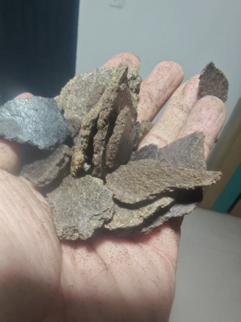 油葵饼
