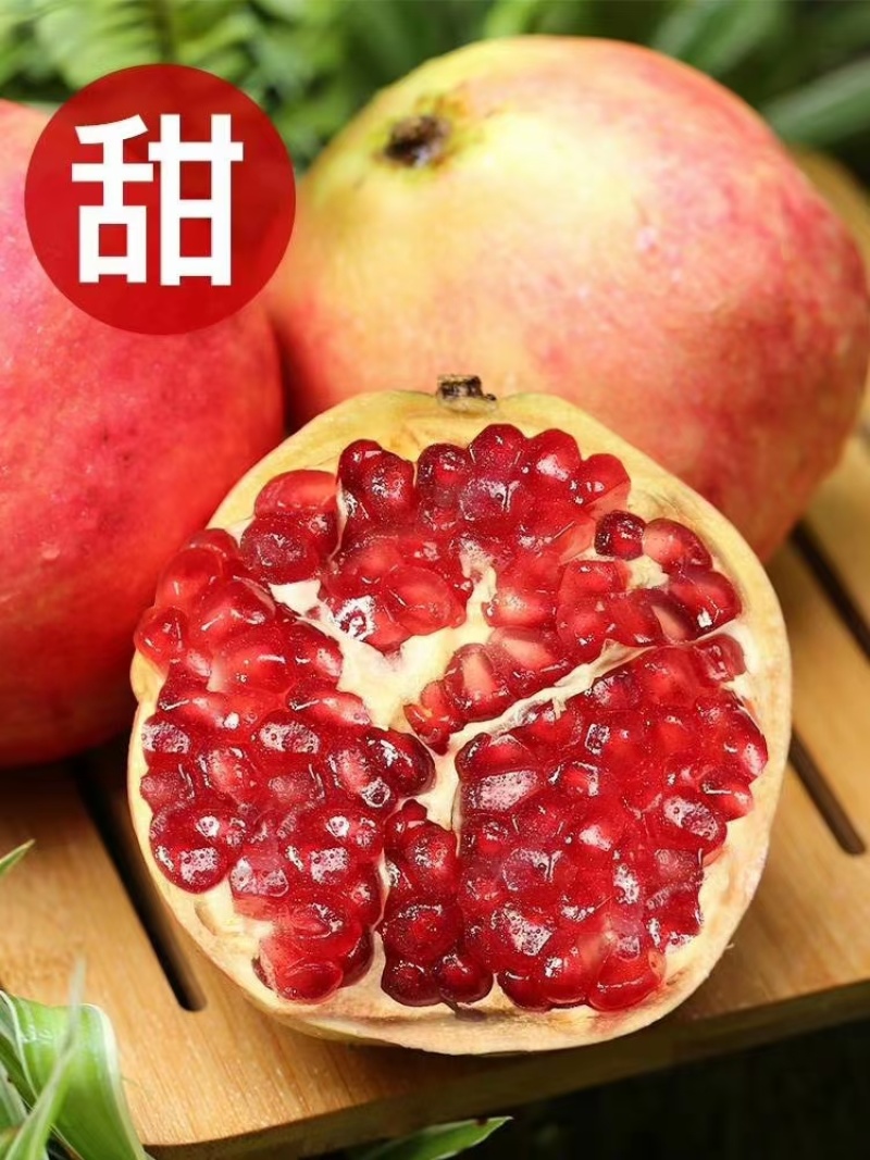 突尼斯软籽石榴苗包活包技术指导基地直销规格全走全国