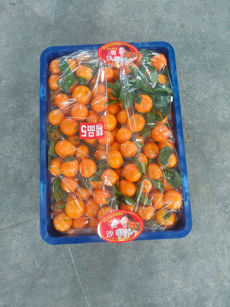 正宗沙糖桔，品名又叫老沙，口感非常正，甜度爆表