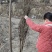 突尼斯软籽石榴苗包活包技术指导基地直销规格全走全国
