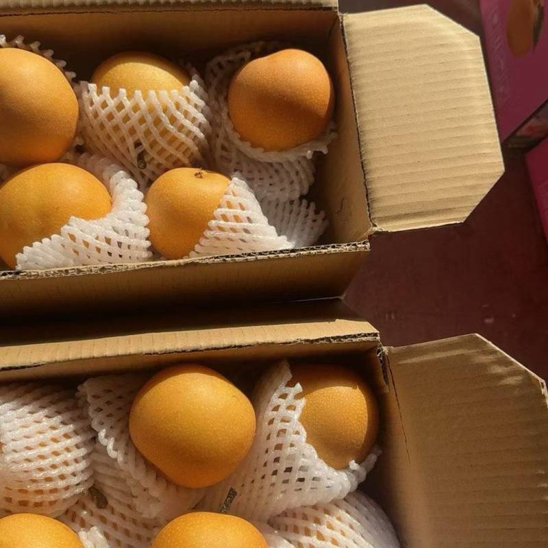 礼盒秋月梨