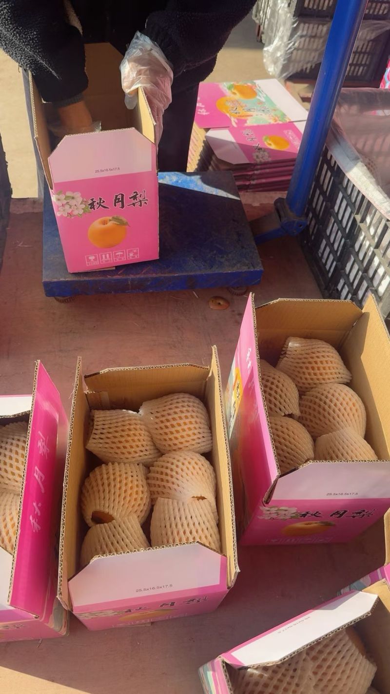 礼盒秋月梨