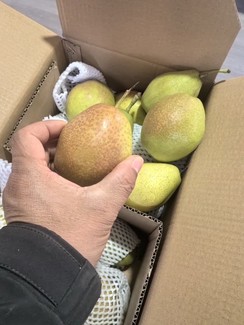 礼盒香梨