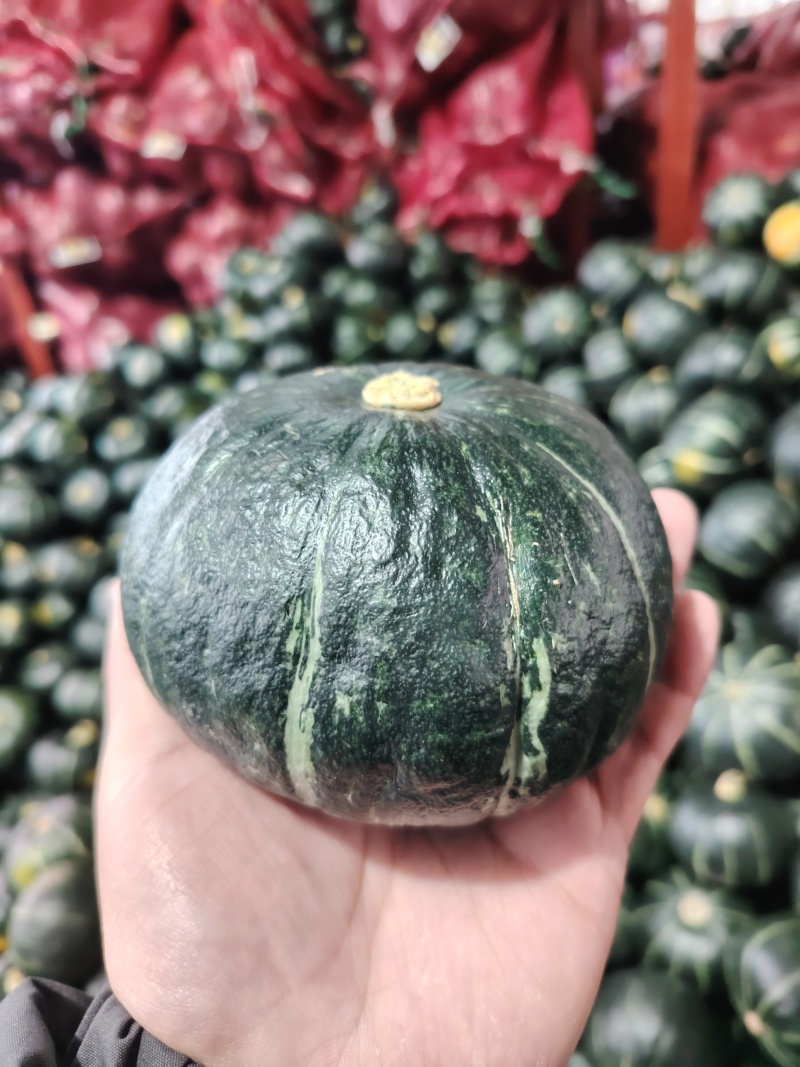 贝贝南瓜精品包粉