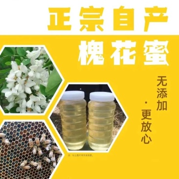 【畅销】山东槐花蜜大量上市中全国包邮送货到家基地直发