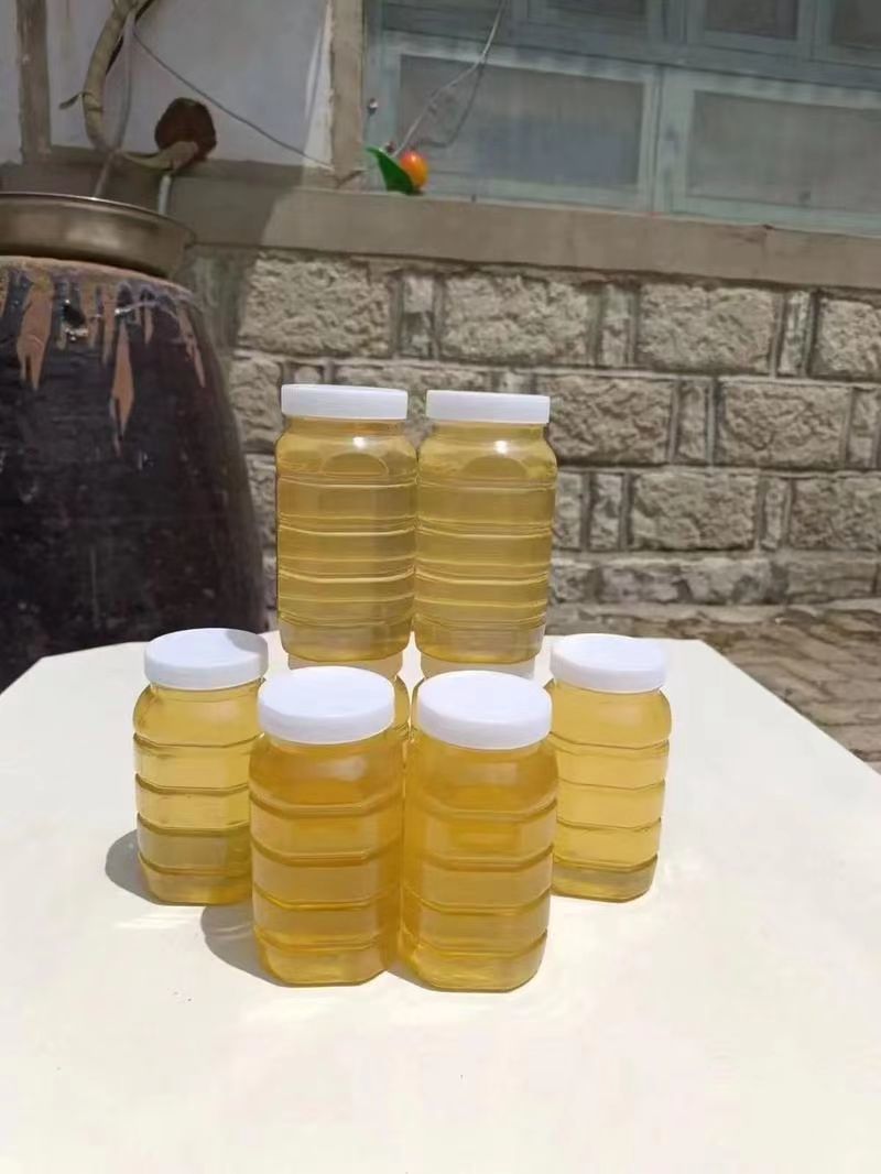 【畅销】山东槐花蜜大量上市中全国包邮送货到家基地直发