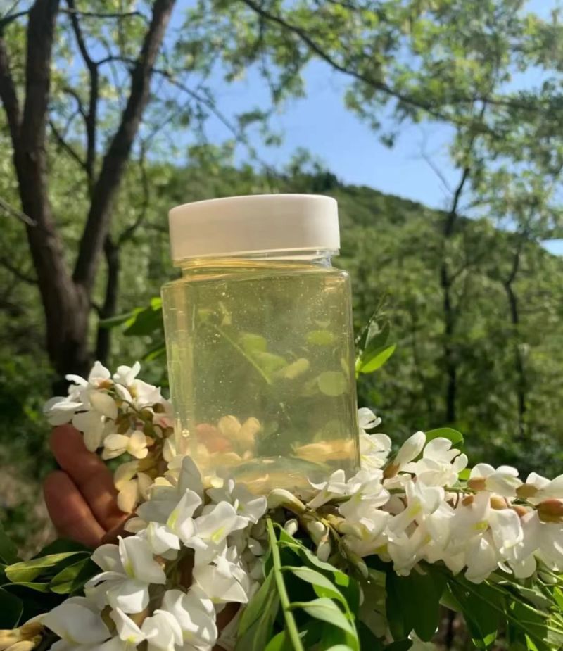 【畅销】山东槐花蜜大量上市中全国包邮送货到家基地直发