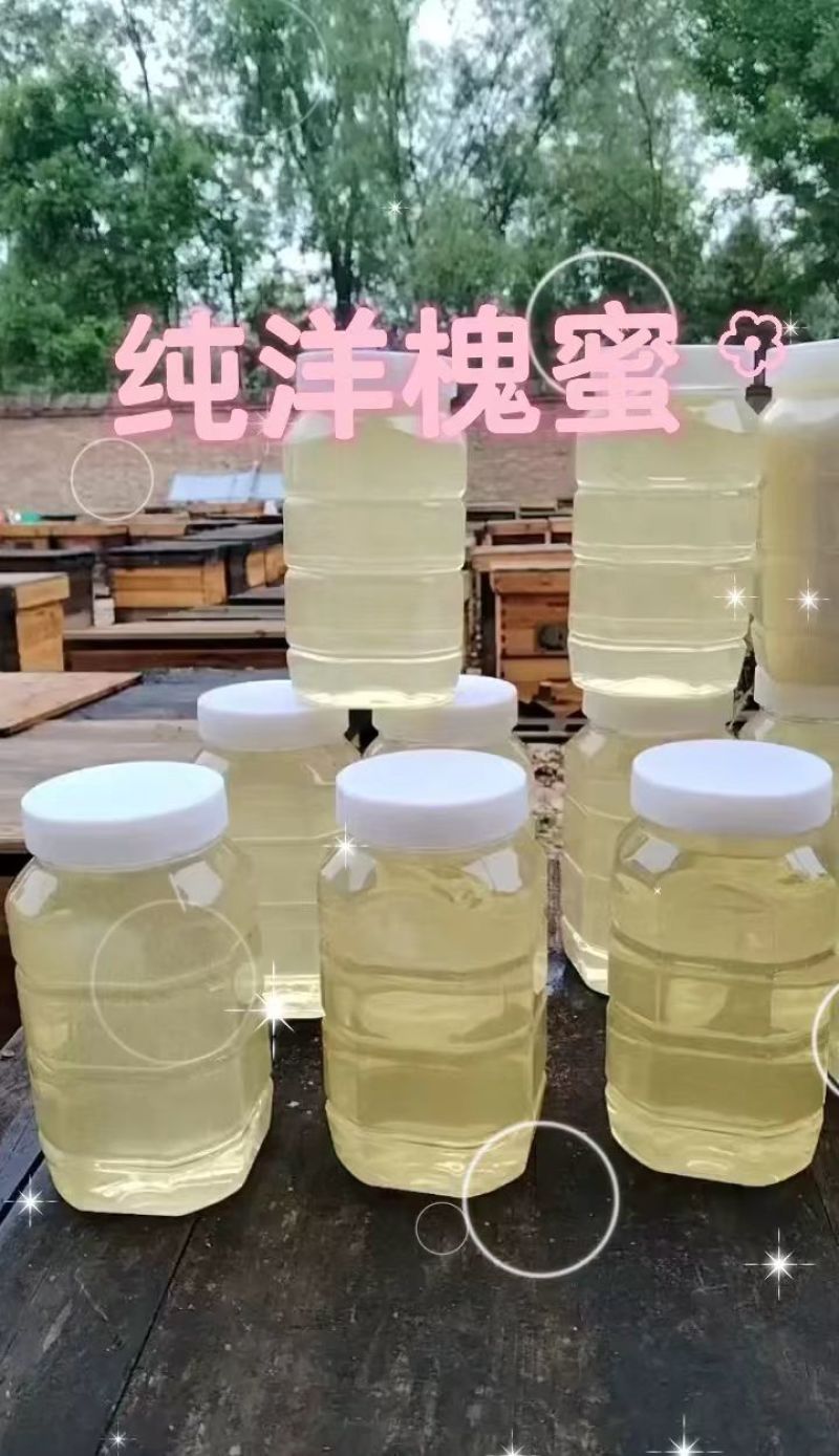 【畅销】山东槐花蜜大量上市中全国包邮送货到家基地直发