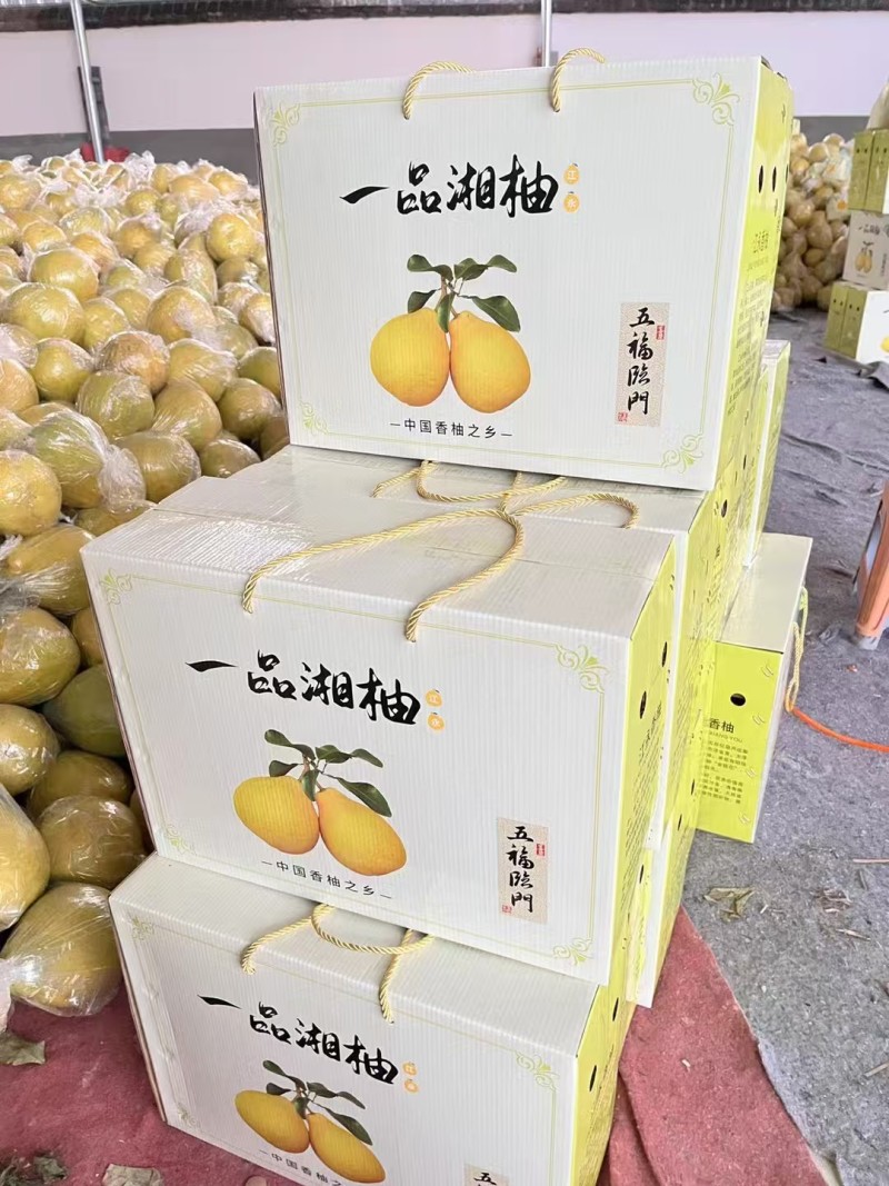江永香柚