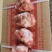 精品棒骨到货！低价出特点个头均匀新鲜，带肉率高，带骨