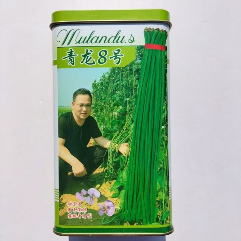 青龙8号长豇豆种籽四季豆角种肉厚高产抗病耐老化长豇豆种籽