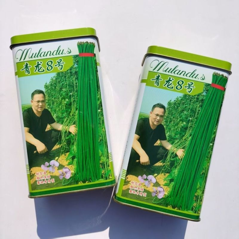 青龙8号长豇豆种籽四季豆角种肉厚高产抗病耐老化长豇豆种籽